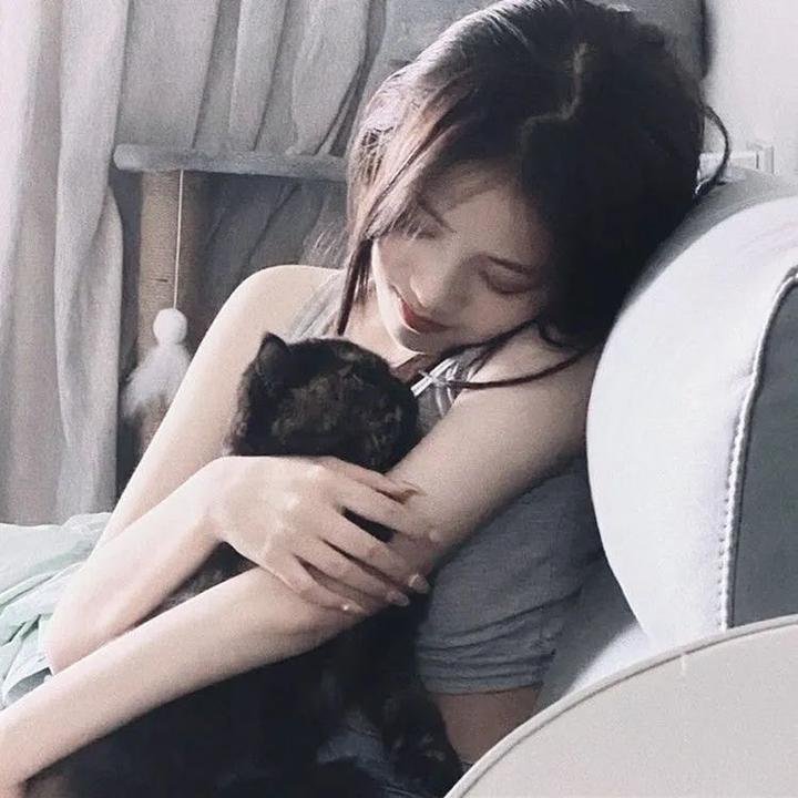 艾蒙的圣诞节倒数计时